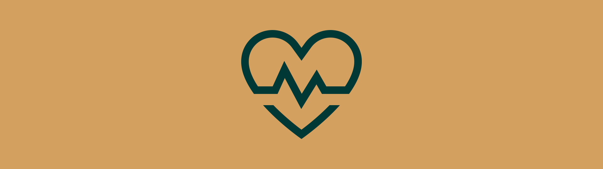 Home privat icon 03 gesundheit
